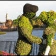 Epcot Flower Garden Festival Room Discounts Epcot Flower Garden Festival Room Discounts