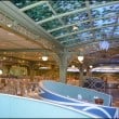 Disney Family Dining on the Disney Dream Cruise Line Disney Family Dining on the Disney Dream Cruise Line
