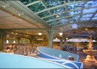 Taking a Disney Family Cruise?