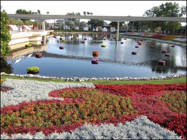 2013 Epcot flower and garden disney discounts