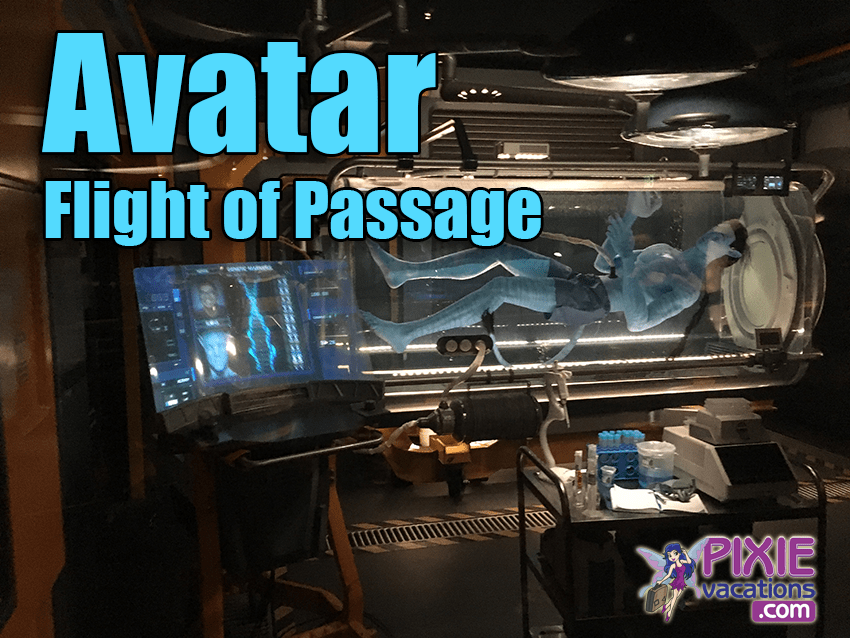 Top Tips for Riding Avatar Flight of Passage