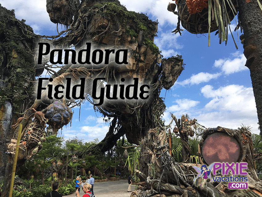 Guide to Pandora  The World of Avatar at Disney World