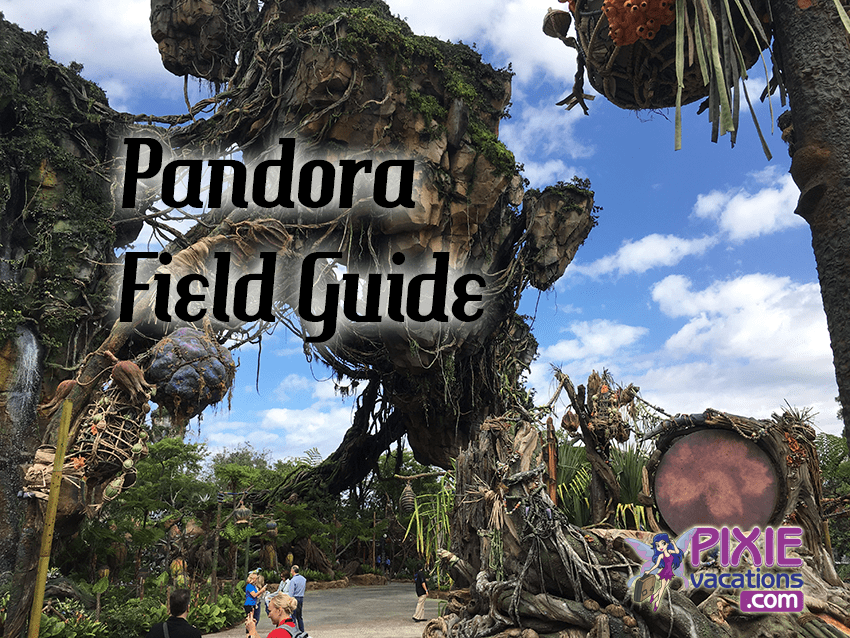 11 Pandora the World of Avatar Tips from Disney Park Gurus