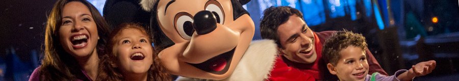 Disney World Holiday Vacation package