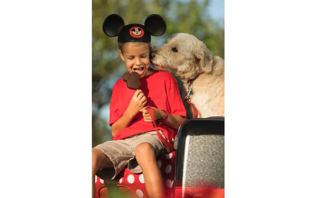 Dog-Friendly Resort Policy at Disney World