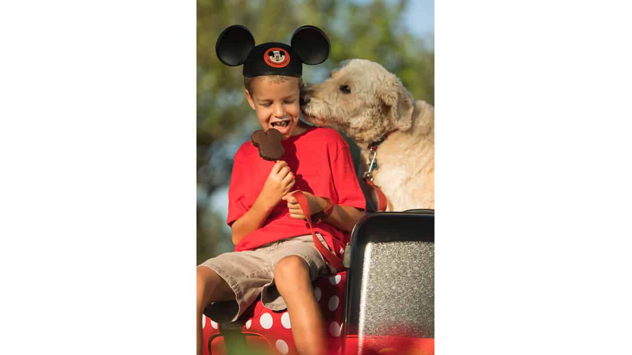 Dog-Friendly Resort Policy at Disney World