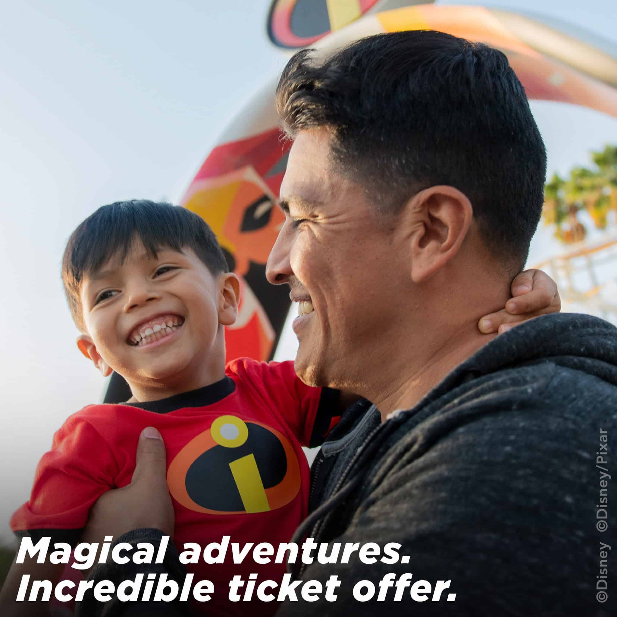 Best Disneyland Theme park Ticket Discounts