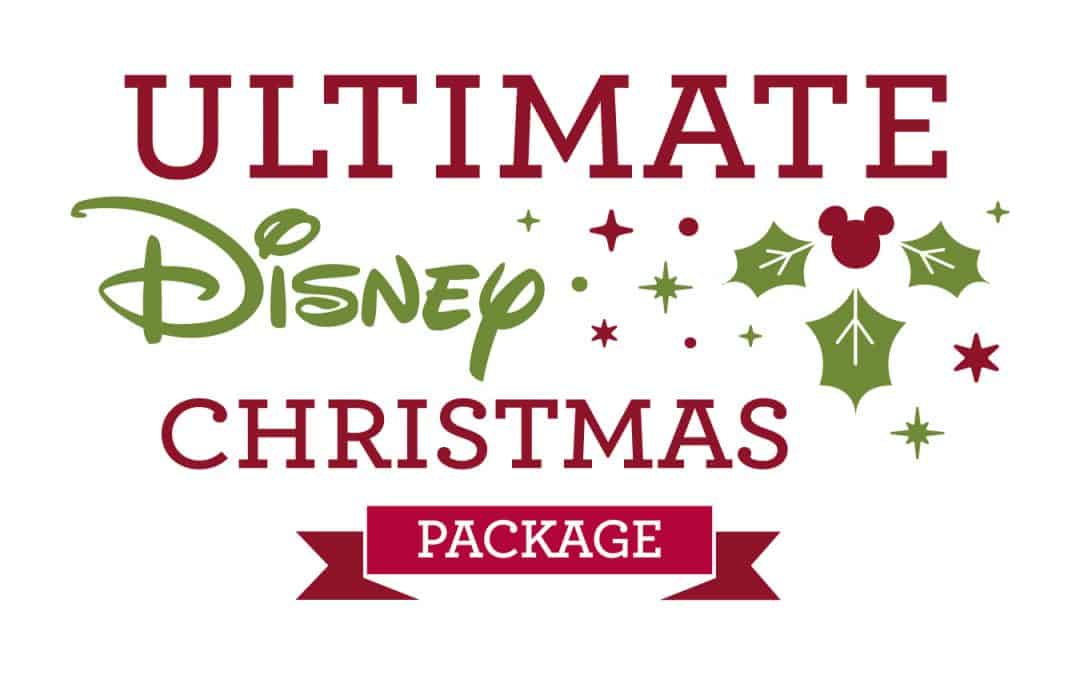 Disney World Christmas Vacation Package