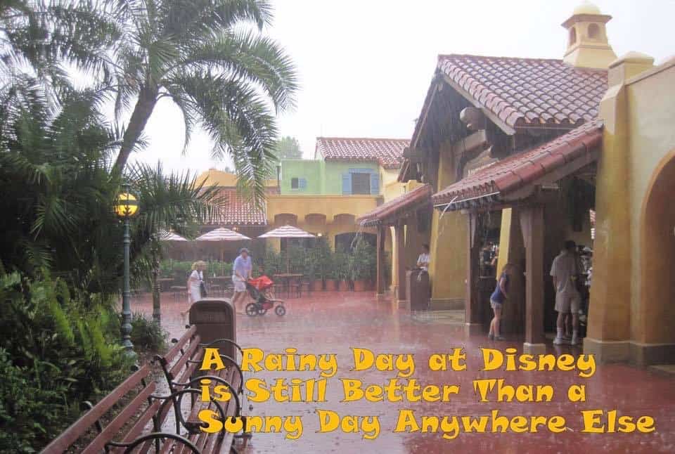 Disney World Weather - Rain