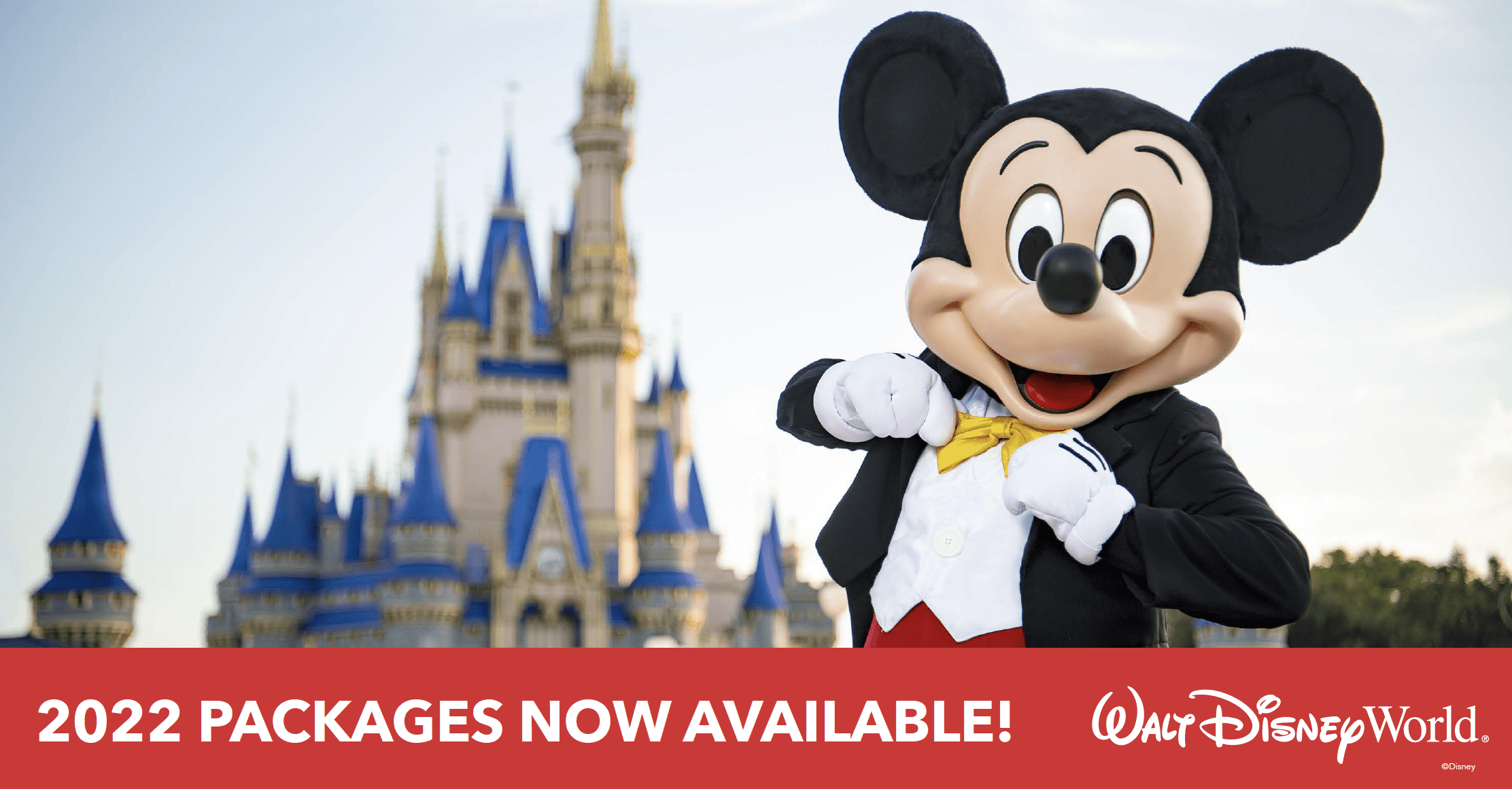 2022 Walt Disney World vacation packages are now available to book!