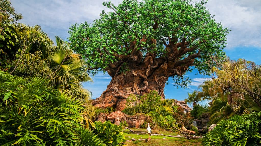 Disney Tree of Life