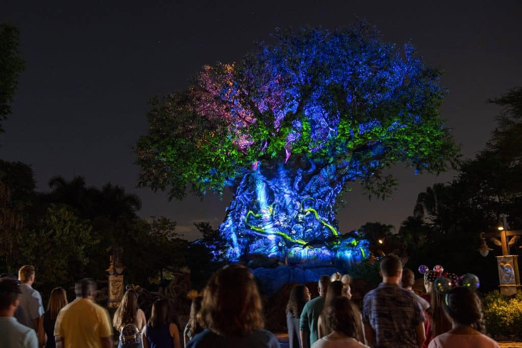 Tree of Life Beacon