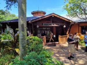 Best Places to Eat at Animal Kingdom