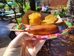 Best Places toEat at Animal Kingdom