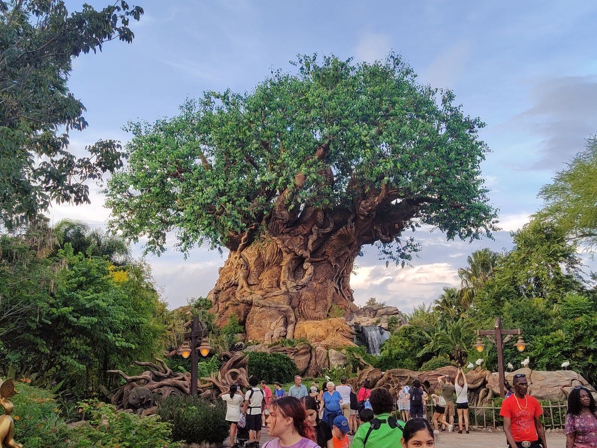 Why Disney’s Animal Kingdom 2026 Is Still a Must-Visit for Your Walt Disney World Vacation