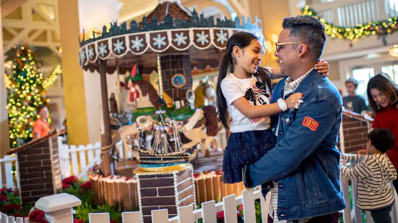 Disney World Greorgia Offeras