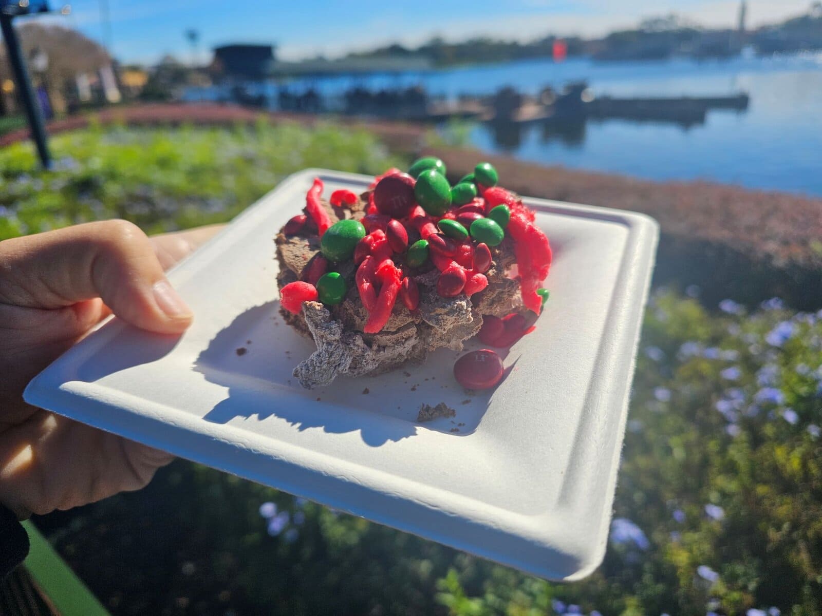 Epcot Festival of the Holidays