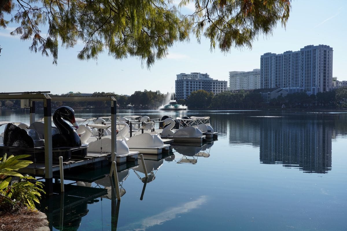 Visiting Orlando Like a Local